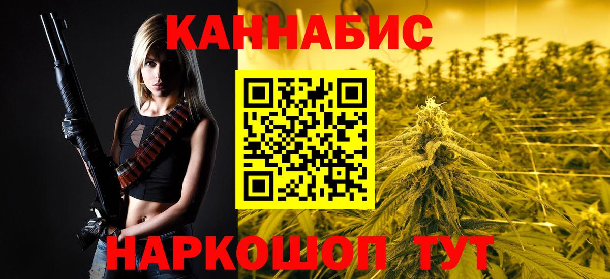 МАРИХУАНА сатива Кудрово